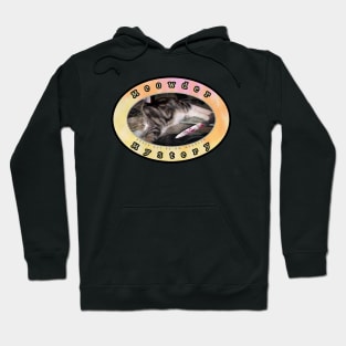 Meowder Mystery Hoodie